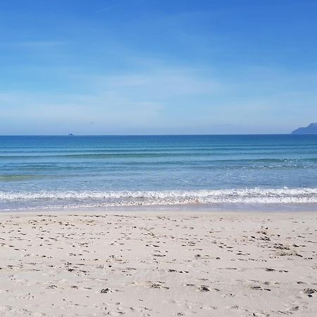 Ideal Property Mallorca - Blue Attic Beach Αλκούδια Εξωτερικό φωτογραφία
